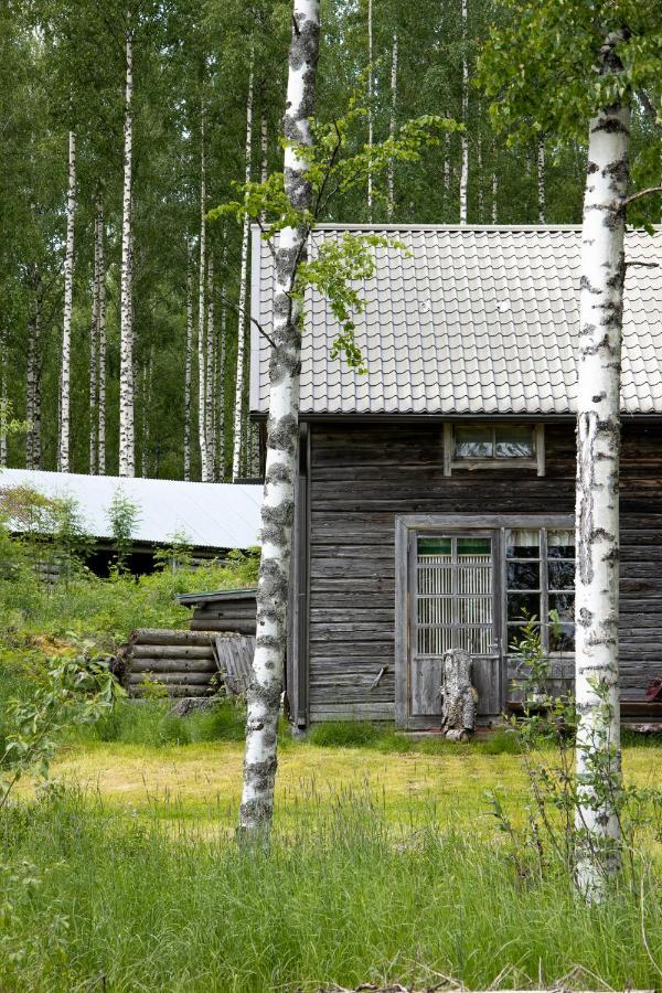 Tarina-Aho Bed & Breakfast Vuonislahti Luaran gambar